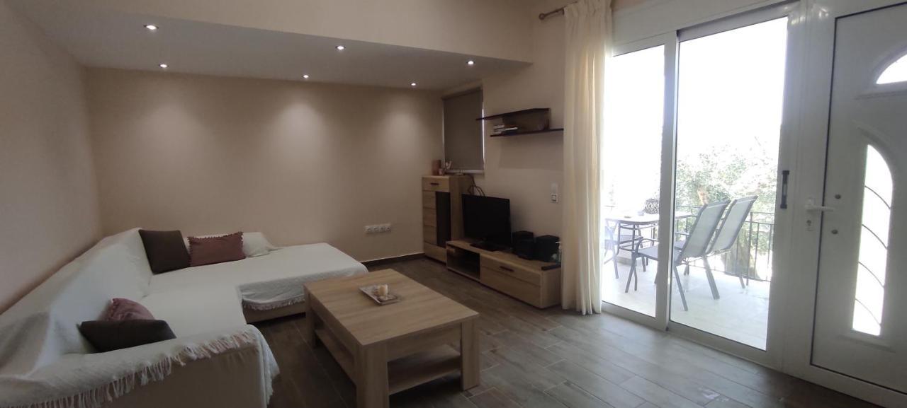Helios & Elia Family Apartment Liapades Bagian luar foto