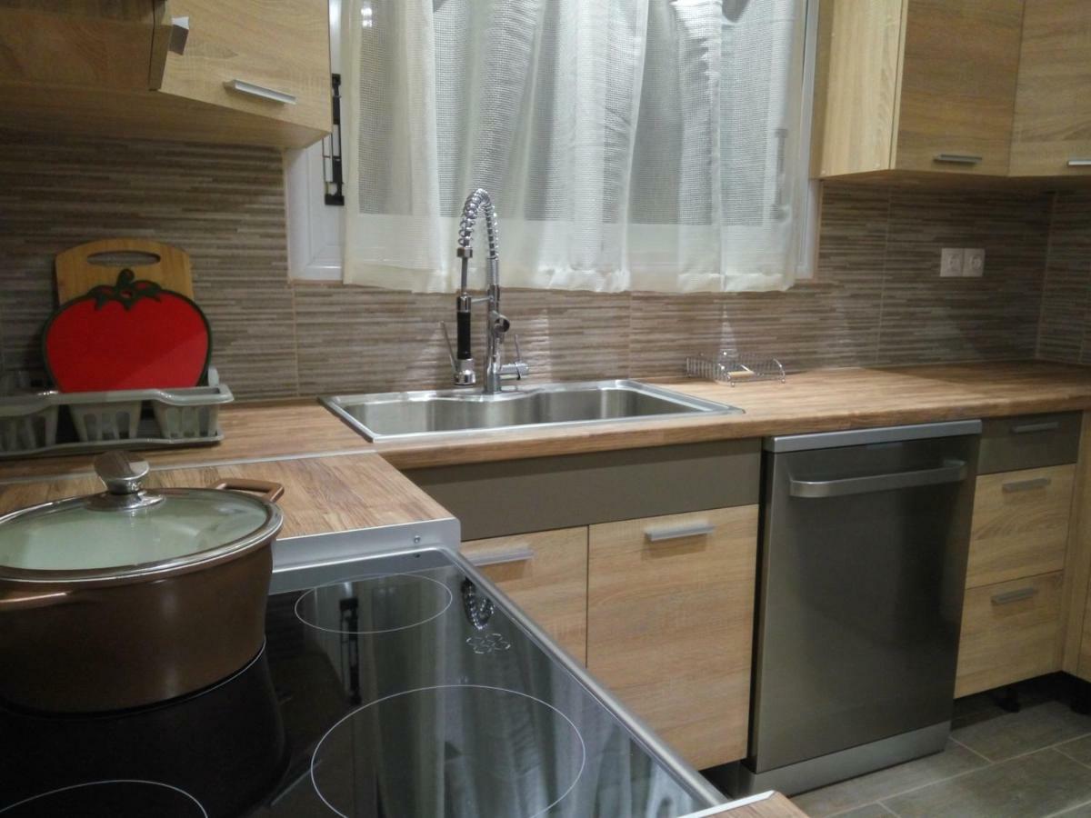 Helios & Elia Family Apartment Liapades Bagian luar foto