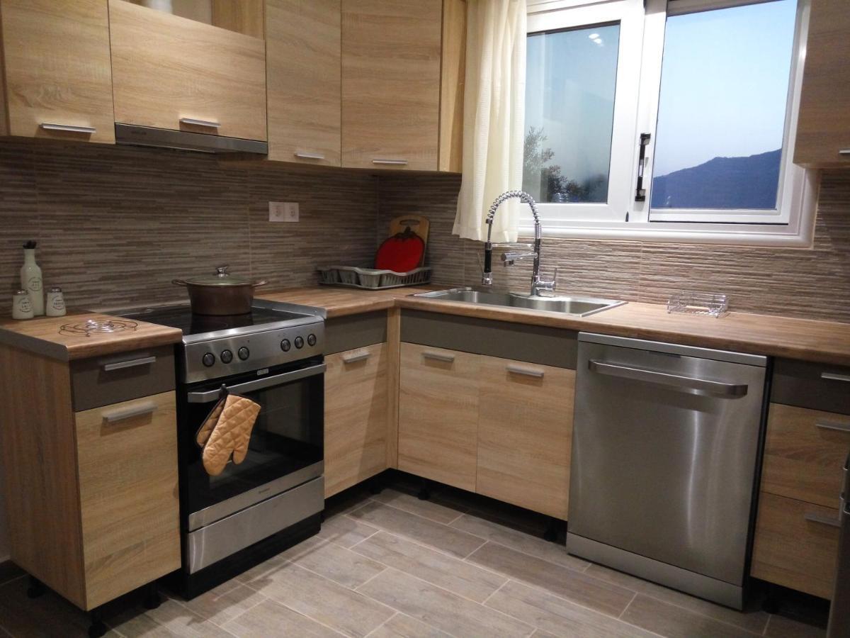 Helios & Elia Family Apartment Liapades Bagian luar foto